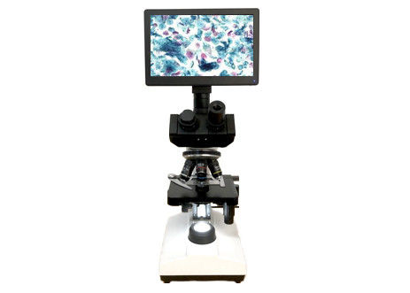 جودة  LCD Screen Lab Biological Microscope 10X 40X 6V 20W Monocular Light Microscope مصنع
