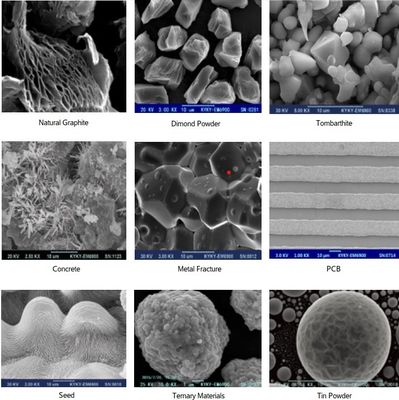 8X-300،000X مجهر المسح الإلكتروني بدقة 3-6nm EBSD EBSD