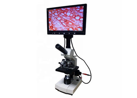 WF10X 2000X مختبر ميكروسكوب بيولوجي Lcd رقمي مجهر تحليل خلايا الدم