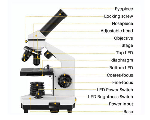 مجهر أحادي Drawtube للطالب 640X ODM