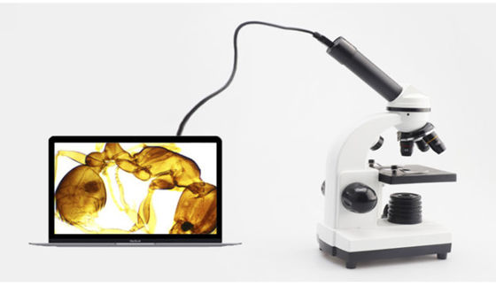 مجهر أحادي Drawtube للطالب 640X ODM