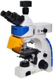 ثلاثي العينيات مجهر مختبر البيولوجيا 40X 100X Epi Fluorescence Microscope