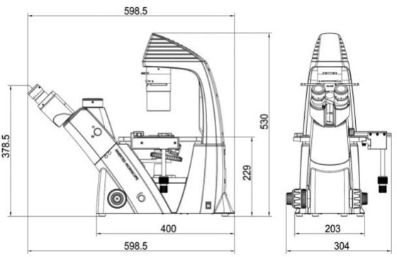 40X-400X مجهر بصري مقلوب WF10X 22mm لمراقبة الخلايا وزراعتها
